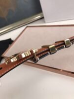 Celine Small Triomphe Brown Belt In Natutal Calfskin Gold Metal - Image 4