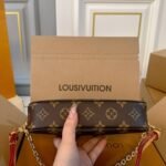 Louis Vuitton Pochette Accessoires Monogram Bag Brown 23Cm - Image 7