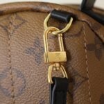 Louis Vuitton Palm Springs Mini Backpack Monogram Brown 29Cm - Image 6