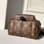 Louis Vuitton Palm Springs Mini Backpack 22Cm M44873 - Image 3