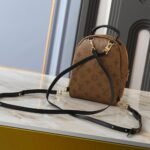 Louis Vuitton Palm Springs Mini Backpack Monogram Brown 29Cm - Image 4