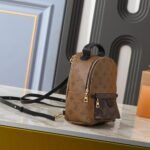 Louis Vuitton Palm Springs Mini Backpack Monogram Brown 29Cm - Image 3