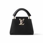 Louis Vuitton Capucines Mini Black 21Cm