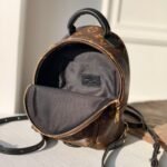 Louis Vuitton Palm Springs Mini Backpack Monogram Canvas 22cm M44873 - Image 7